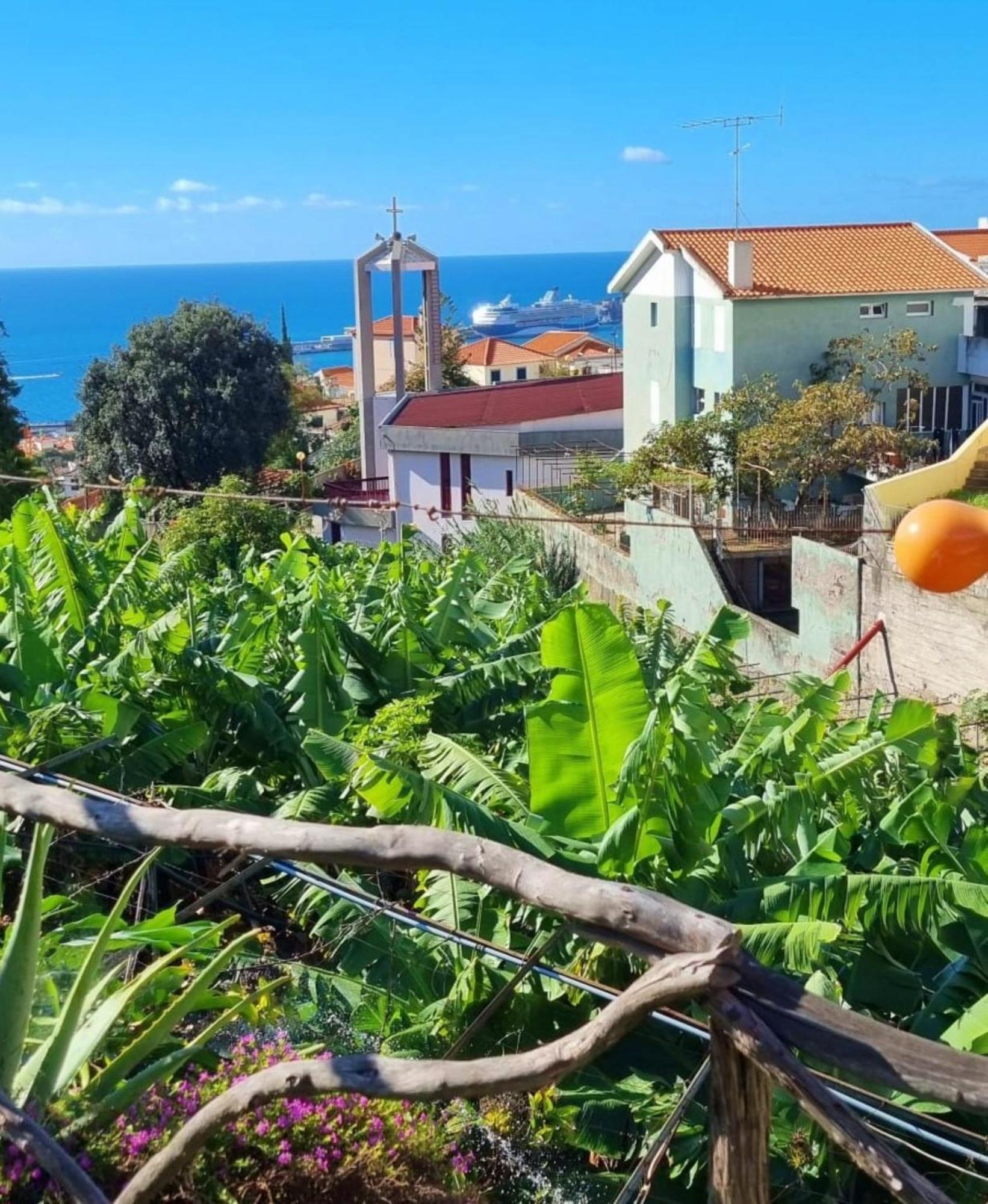 Villa Catanho Funchal  Exterior photo